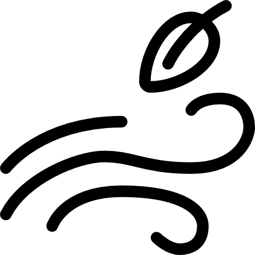wind-speed-icon